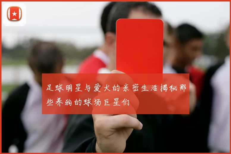 足球明星与爱犬的亲密生活揭秘那些养狗的球场巨星们
