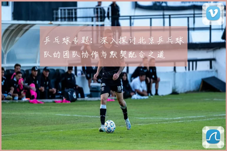 乒乓球专题：深入探讨北京乒乓球队的团队协作与默契配合之道