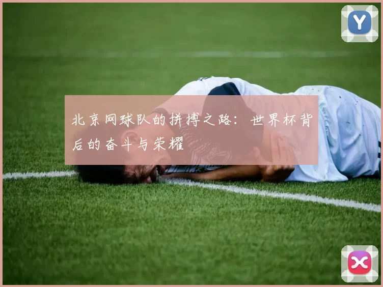 北京网球队的拼搏之路：世界杯背后的奋斗与荣耀