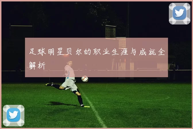 足球明星贝尔的职业生涯与成就全解析