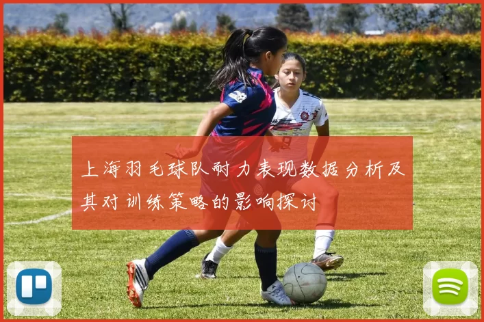 上海羽毛球队耐力表现数据分析及其对训练策略的影响探讨