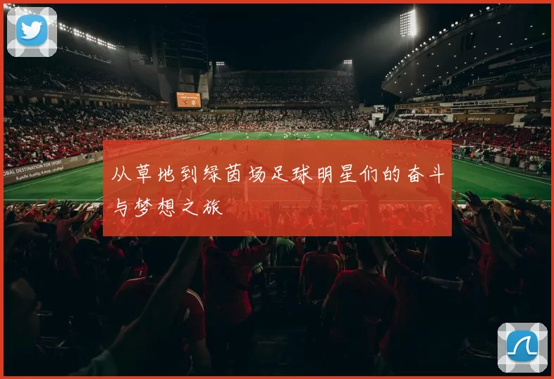 从草地到绿茵场足球明星们的奋斗与梦想之旅