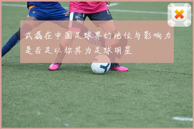 武磊在中国足球界的地位与影响力是否足以称其为足球明星