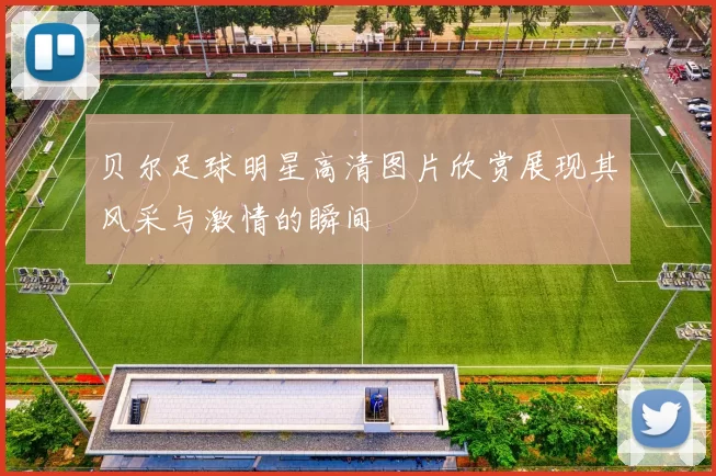 贝尔足球明星高清图片欣赏展现其风采与激情的瞬间