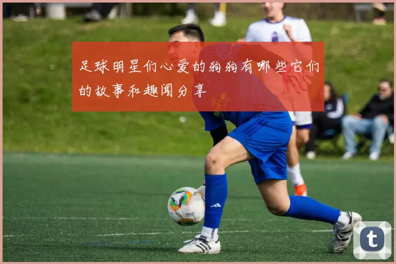 足球明星们心爱的狗狗有哪些它们的故事和趣闻分享