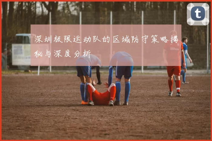 深圳极限运动队的区域防守策略揭秘与深度分析