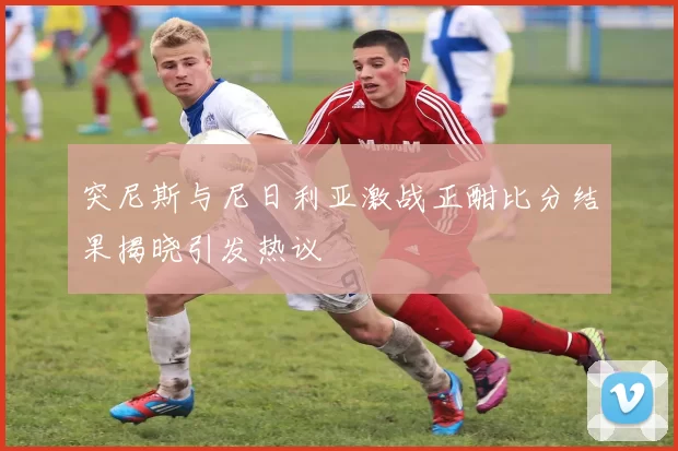 突尼斯与尼日利亚激战正酣比分结果揭晓引发热议