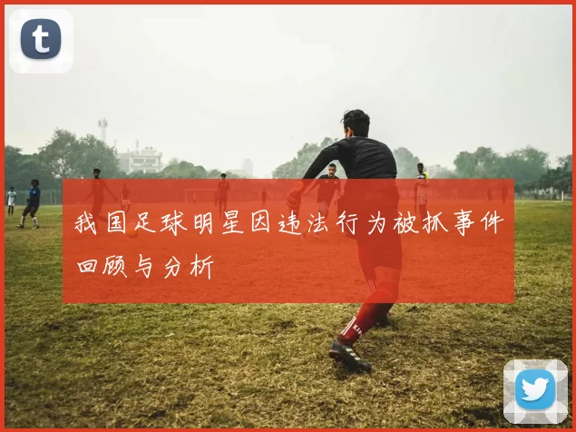 我国足球明星因违法行为被抓事件回顾与分析