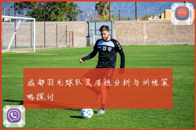成都羽毛球队灵活性分析与训练策略探讨