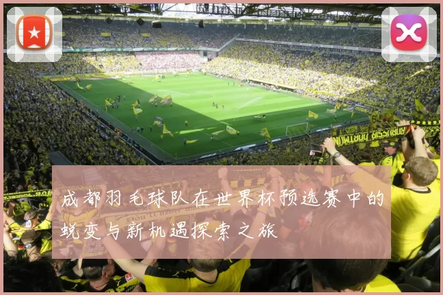 成都羽毛球队在世界杯预选赛中的蜕变与新机遇探索之旅