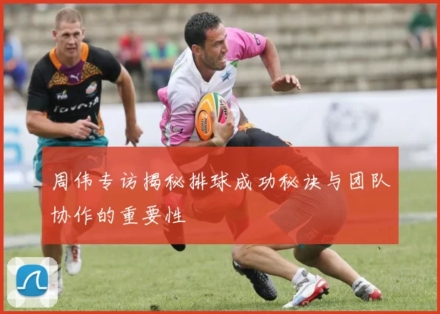 周伟专访揭秘排球成功秘诀与团队协作的重要性