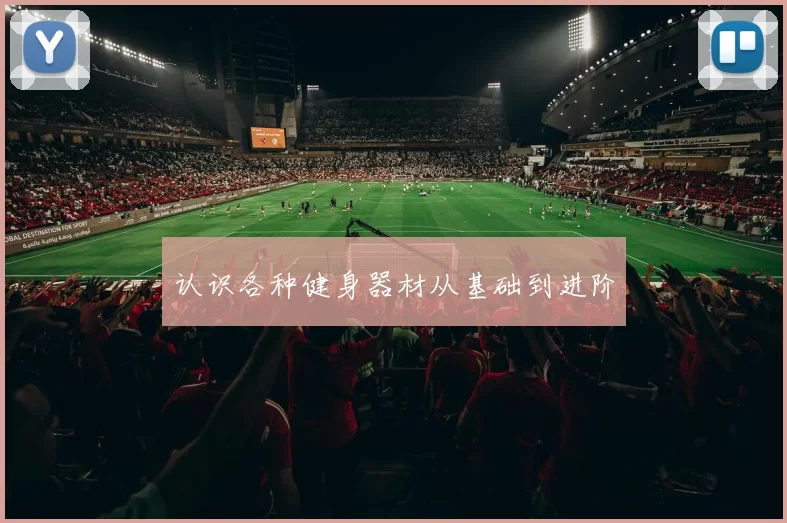 认识各种健身器材从基础到进阶