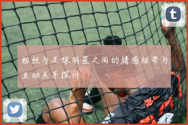 粉丝与足球明星之间的情感纽带与互动关系探讨