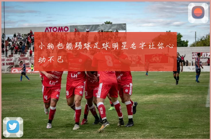 小狗也能踢球足球明星名字让你心动不已
