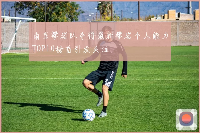 南京攀岩队夺得最新攀岩个人能力TOP10榜首引发关注