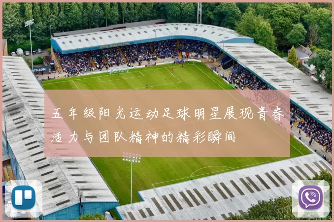 五年级阳光运动足球明星展现青春活力与团队精神的精彩瞬间