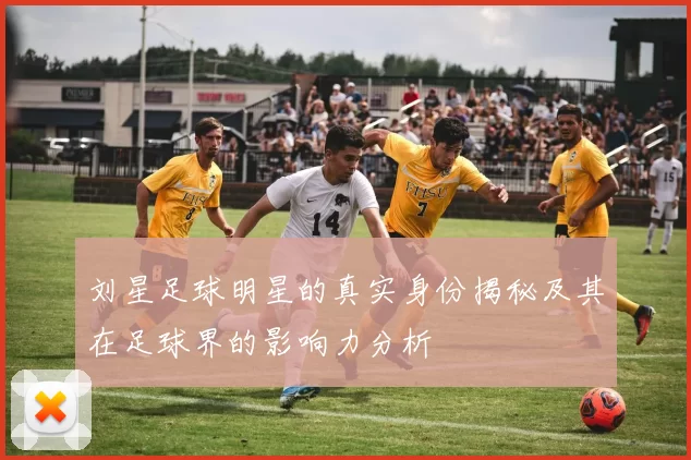 刘星足球明星的真实身份揭秘及其在足球界的影响力分析