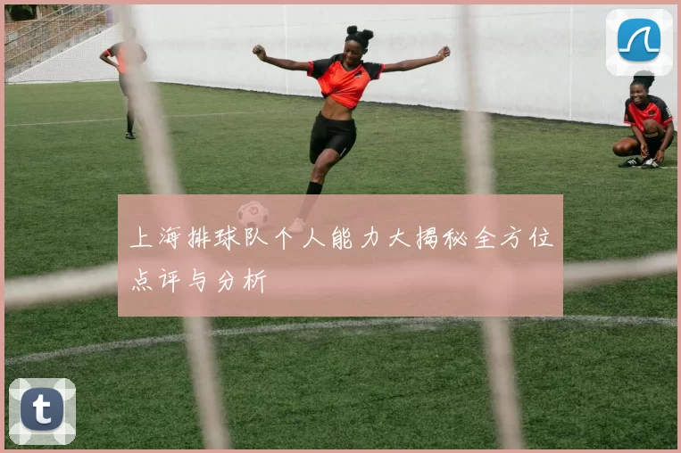 上海排球队个人能力大揭秘全方位点评与分析