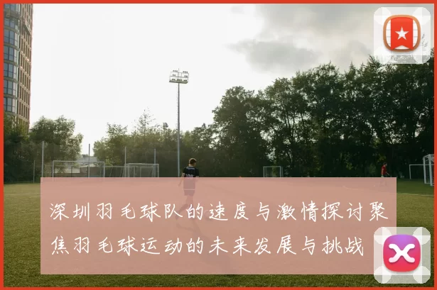 深圳羽毛球队的速度与激情探讨聚焦羽毛球运动的未来发展与挑战