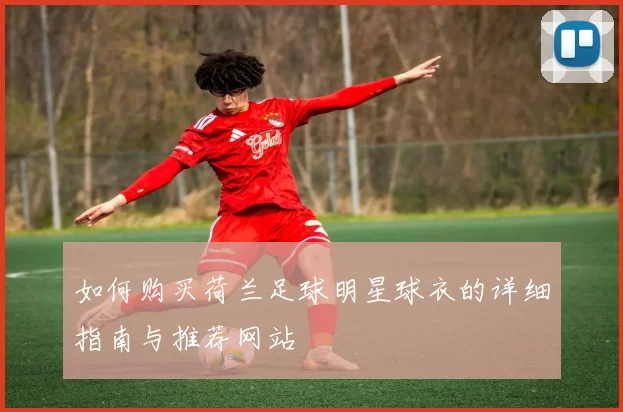 如何购买荷兰足球明星球衣的详细指南与推荐网站